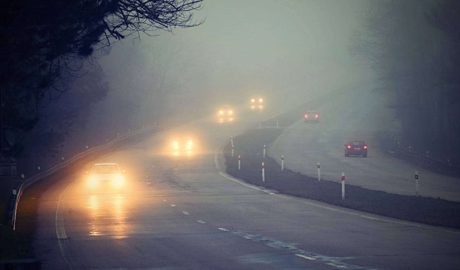 Đèn sương mù cho xe ô tô